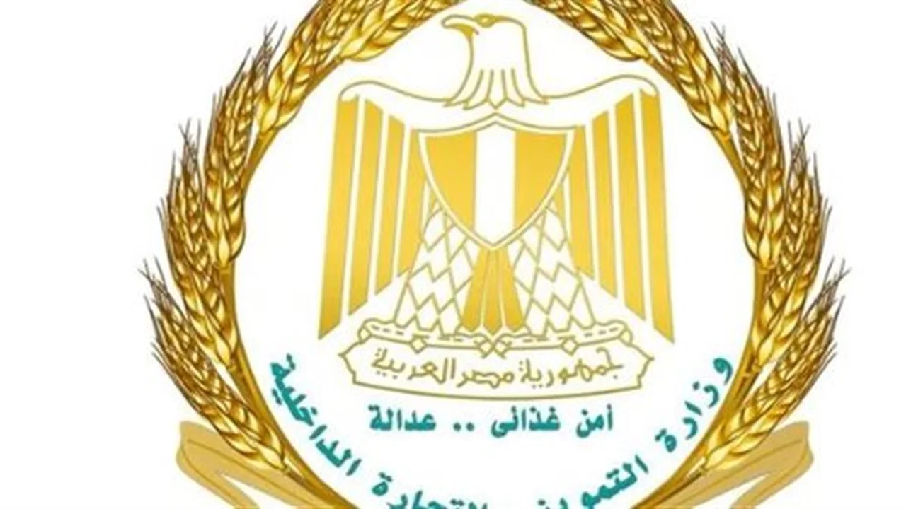 استقرار الأسعار.. الحكومة تُعزز توفر الدواجن واللحوم والخضراوات